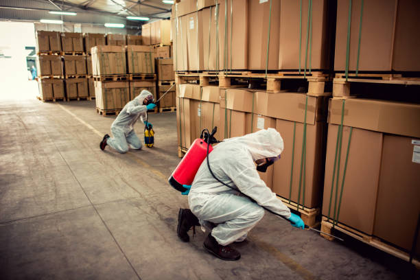 Best Pest Prevention Services  in Surrey, ND