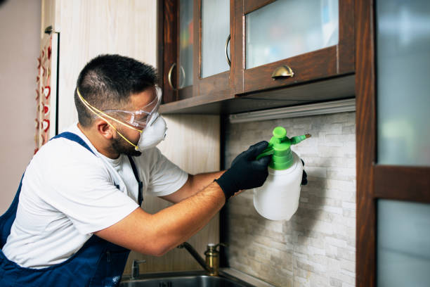 Best Pest Control for Homes  in Surrey, ND