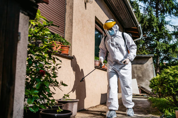 Best Pest Removal Services  in Surrey, ND