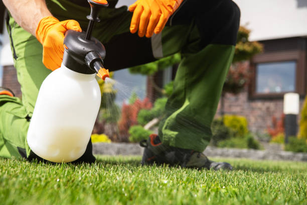 Best Exterminator Services  in Surrey, ND