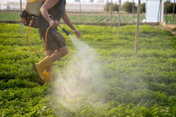 Best Mosquito Control Services  in Surrey, ND