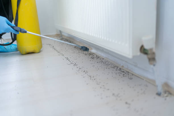 Pest Control Cost in Surrey, ND