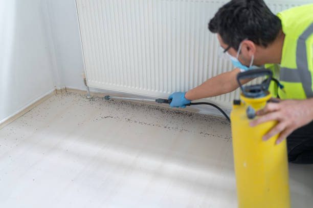 Best Wasp Removal Services  in Surrey, ND
