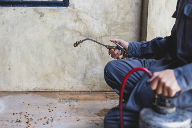 Best Pest Control Cost  in Surrey, ND